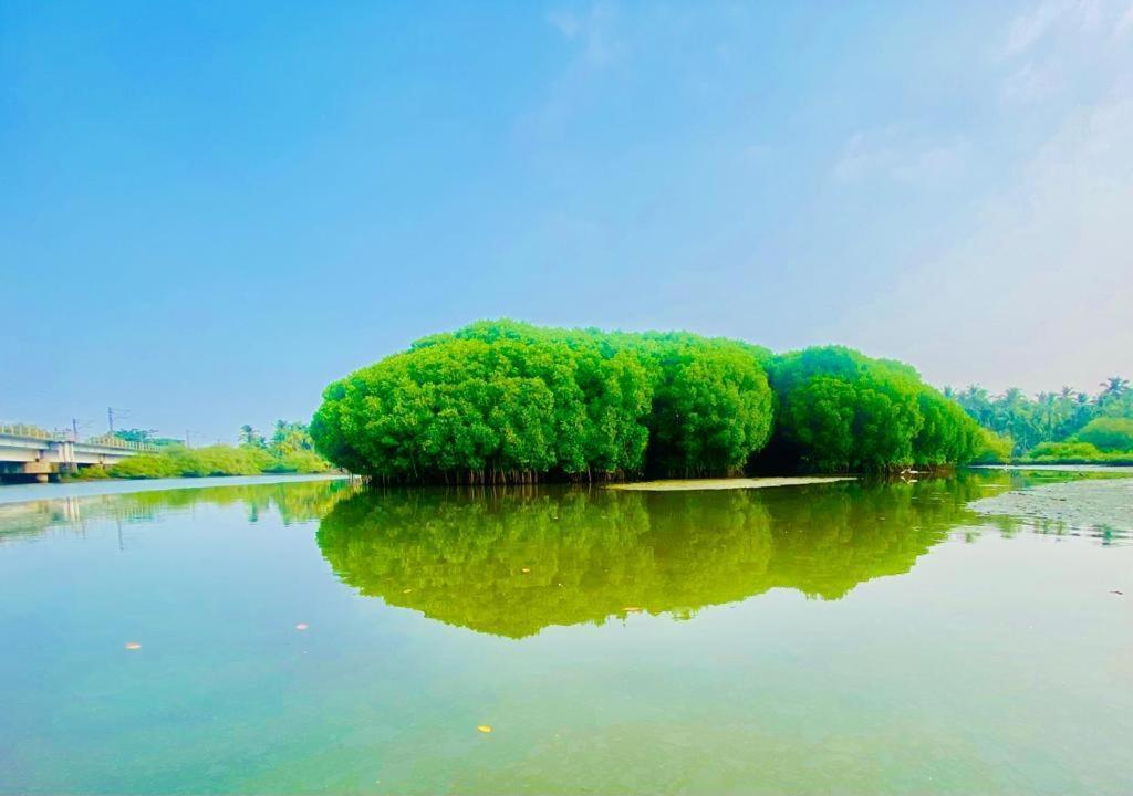 Green Island Homestay Riverside Кожикоде Экстерьер фото